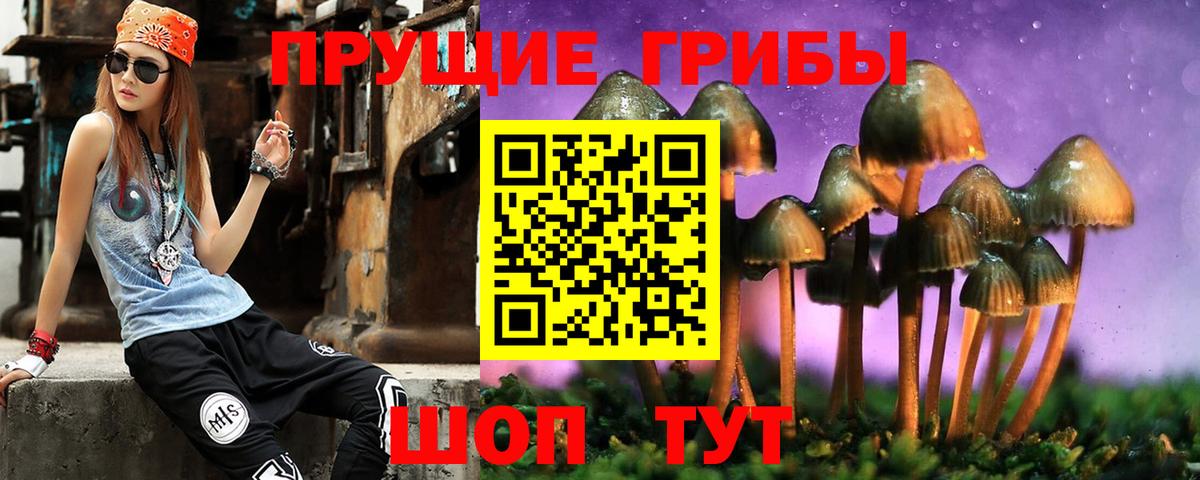 Галлюциногенные грибы мицелий  Вход с VPN  Отрадное 