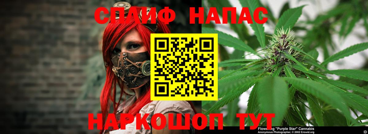 Отрадное  Канабис Bruce Banner  Каннабис план  Вход с VPN  Каннабис конопля 